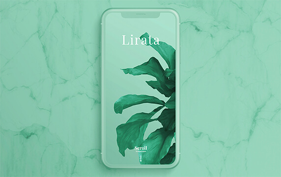 Ceacle Mockup - 各种免费模型的绝佳来源：产品模型和场景创建者，轻松设计专业演示文稿，多种类型的样机模型下载，内含免费与付费模型，可以编辑修改。