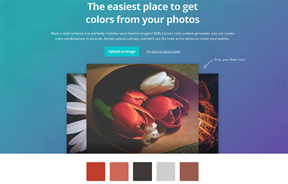 Color Palette Generator - 上传照片获取配色：使用Canva的调色板生成器，您可以在几秒钟内创建颜色组合。只需上传照片，我们将使用照片中的色调创建调色板。